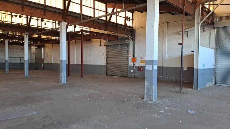 To Let commercial Property for Rent in Ferguson Eastern Cape